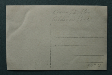 Photo Postcard PC Cham / 1925